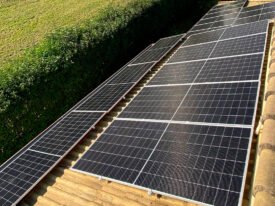 {{brizy_dc_image_alt entityId=